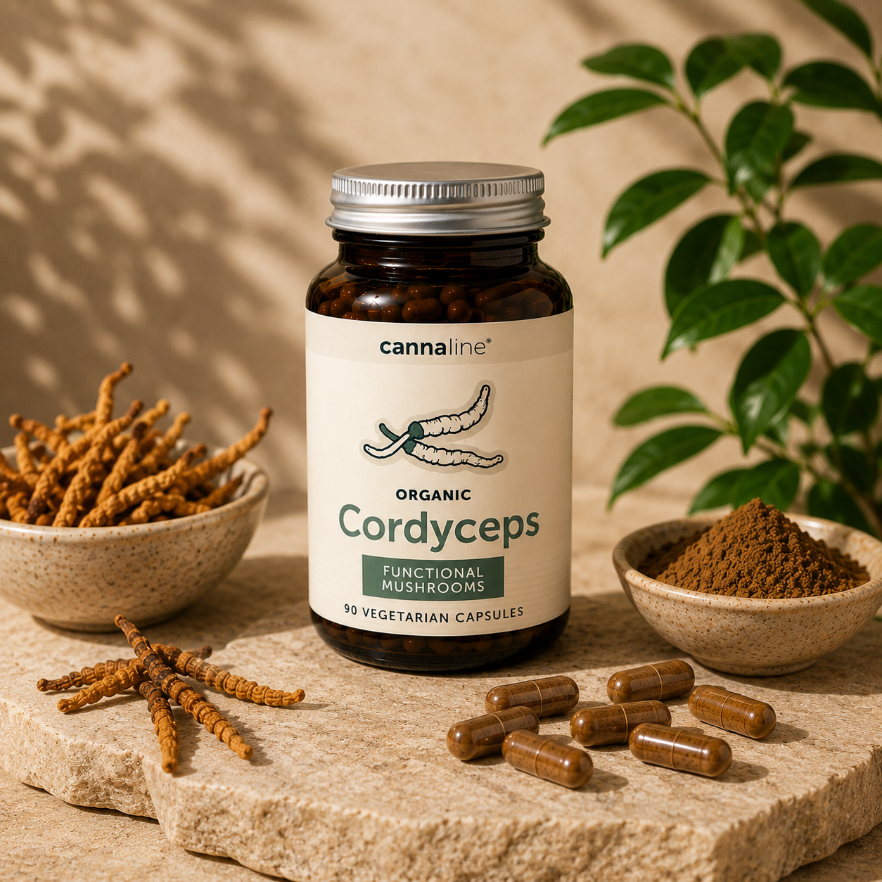 Hernyógomba Cordyceps - 90 db