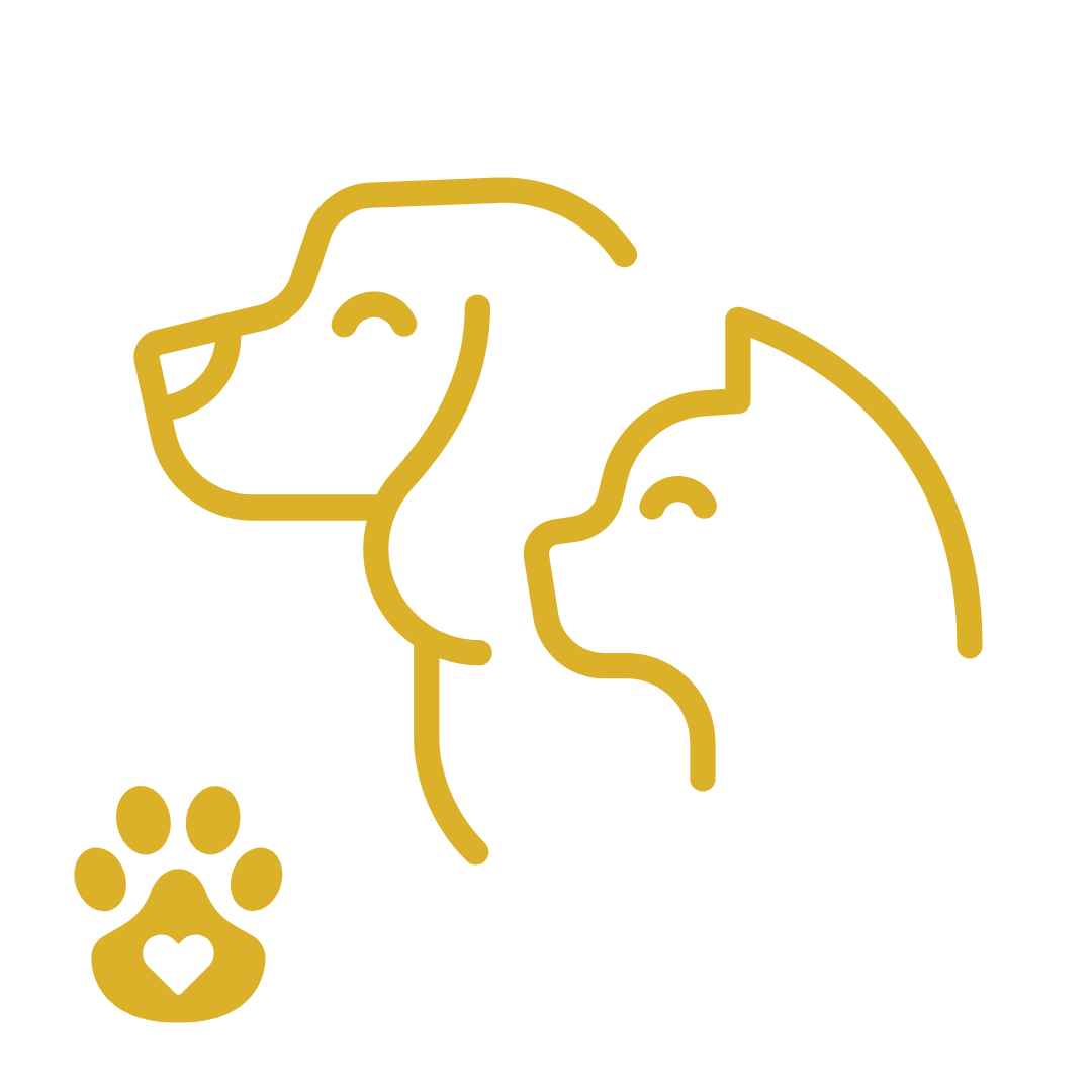 coll_pet