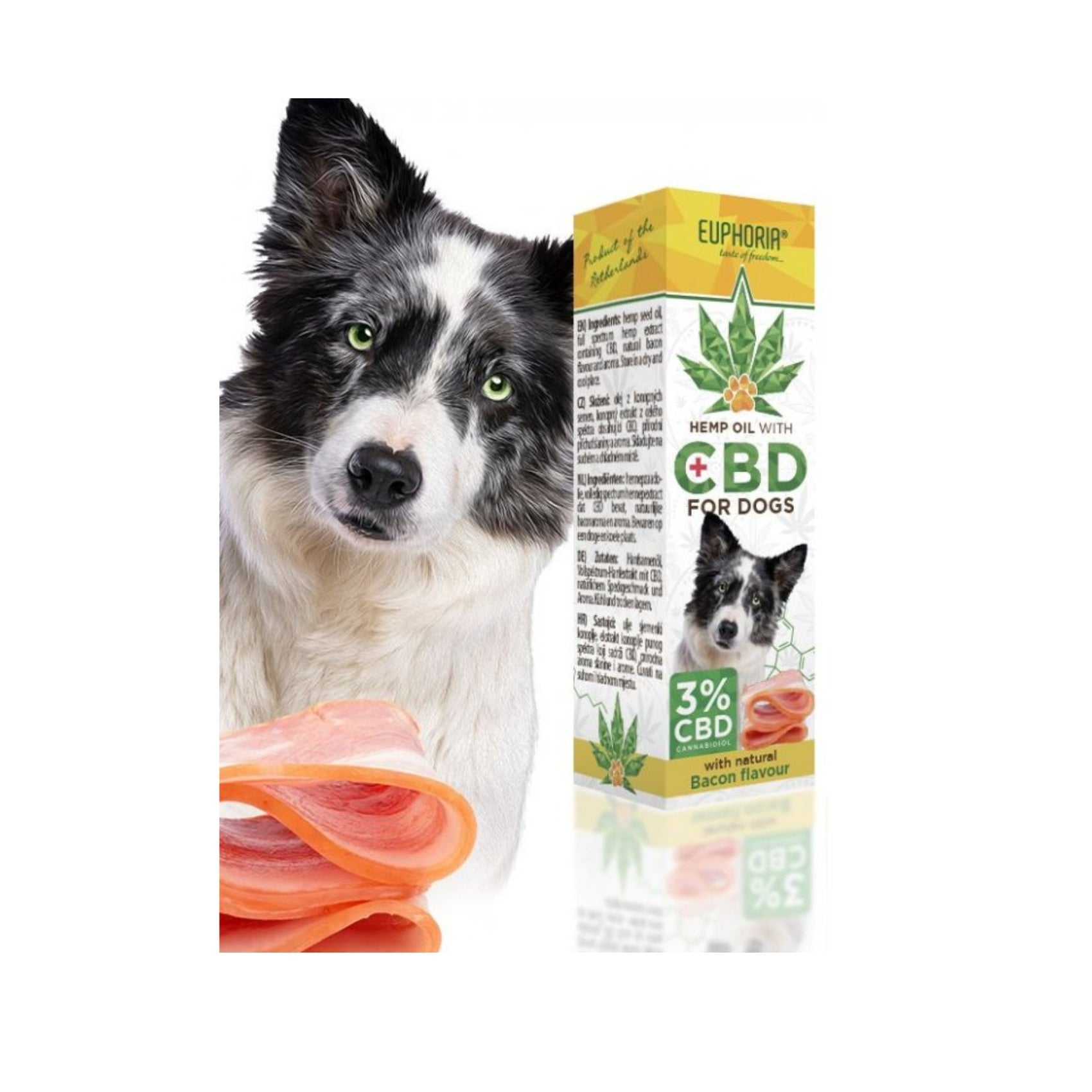 CBD oil for dogs