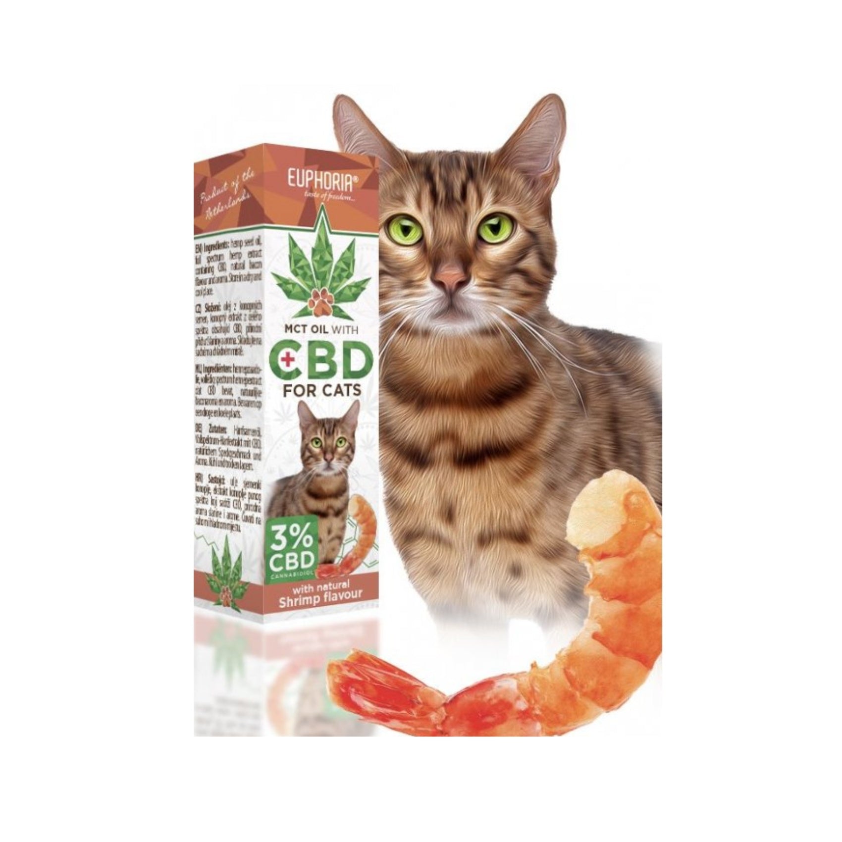 CBD Oil for cats