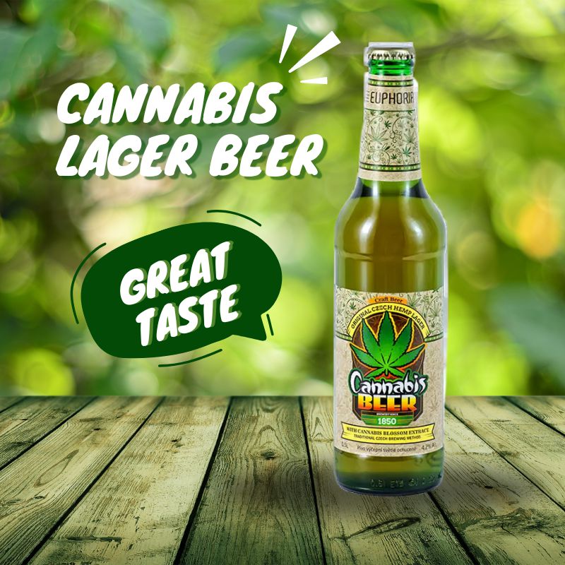 Cannabis Lager Sör