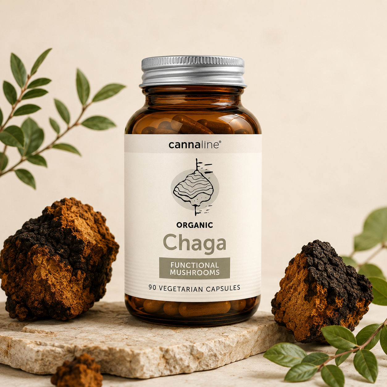 Hamvaskéreg CHAGA gomba - 90 db